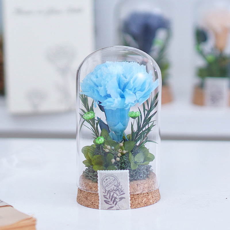 Eternal Carnation Wishing Bottle – A Timeless Mother’s Day Keepsake