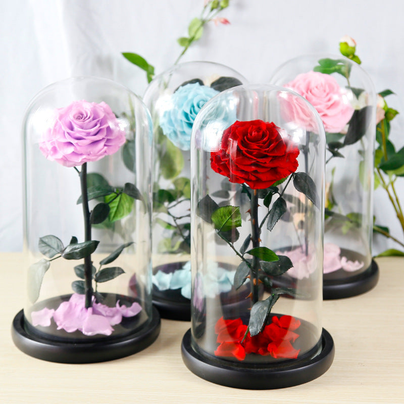 Eternal Preserved Rose Glass Dome Gift Box – Luxury Romantic Keepsake