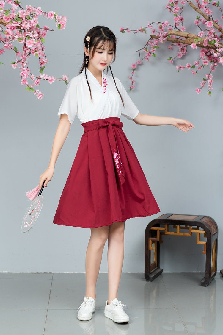Elegant Summer Hanfu Skirt – Embroidered Cross Collar Design