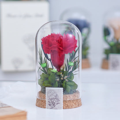 Eternal Carnation Wishing Bottle – A Timeless Mother’s Day Keepsake