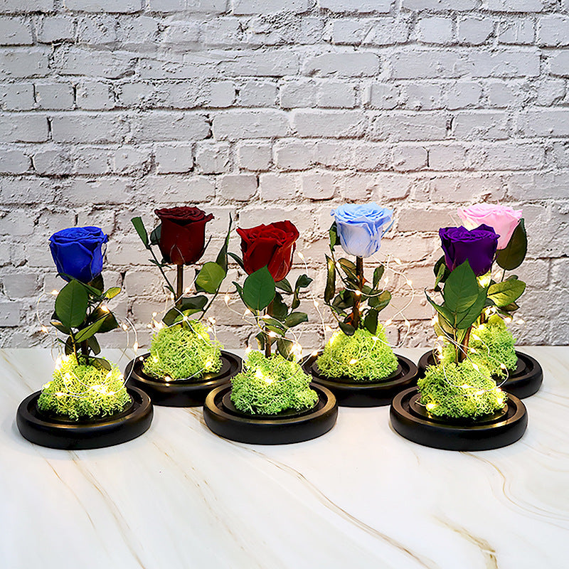 Creative Fashion Flower Gift – Elegant Décor to Brighten Any Space