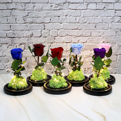 Creative Fashion Flower Gift – Elegant Décor to Brighten Any Space