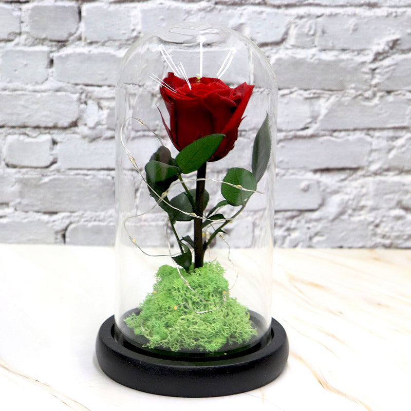 Creative Fashion Flower Gift – Elegant Décor to Brighten Any Space