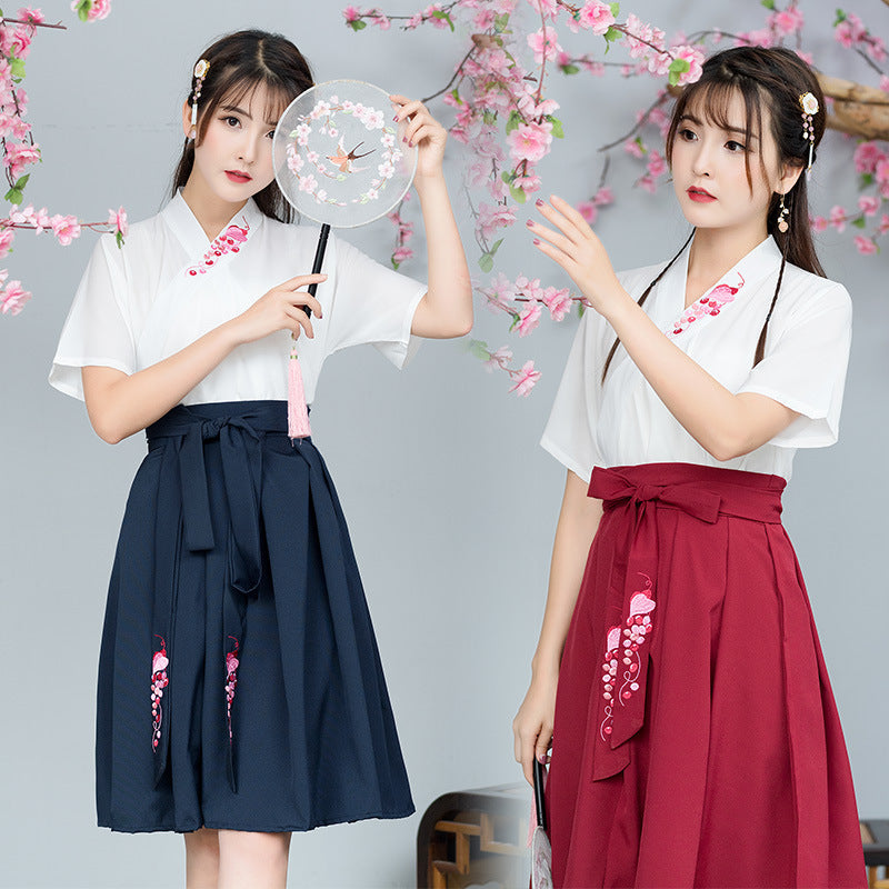 Elegant Summer Hanfu Skirt – Embroidered Cross Collar Design