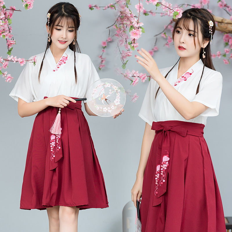 Elegant Summer Hanfu Skirt – Embroidered Cross Collar Design