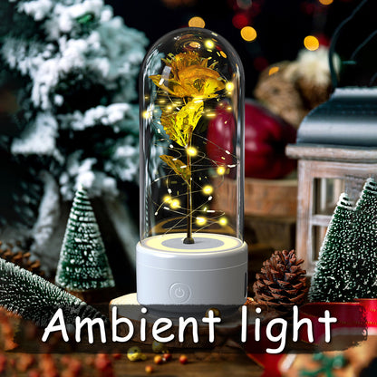 Eternal Rose LED Light & Bluetooth Speaker – Romantic Glass Dome Gift
