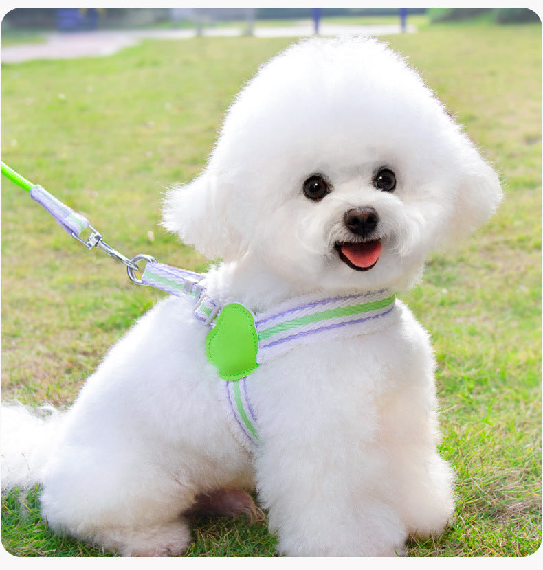 Breathable Summer Dog Harness & Leash – Chest Vest for Small & Medium Dogs (Corgi, Shiba Inu, Bichon)