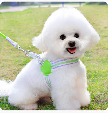 Breathable Summer Dog Harness & Leash – Chest Vest for Small & Medium Dogs (Corgi, Shiba Inu, Bichon)