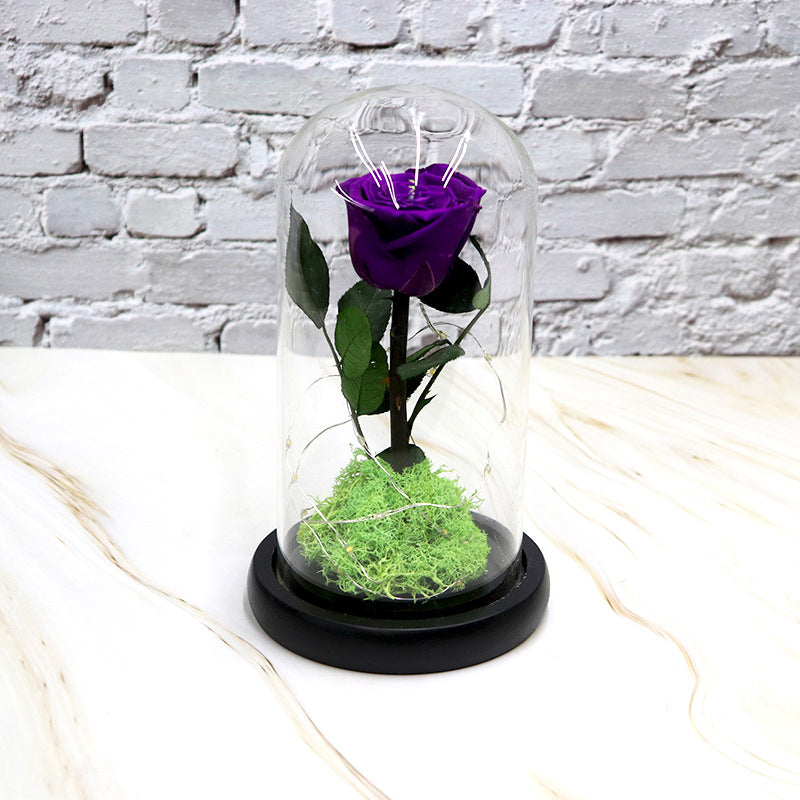 Creative Fashion Flower Gift – Elegant Décor to Brighten Any Space