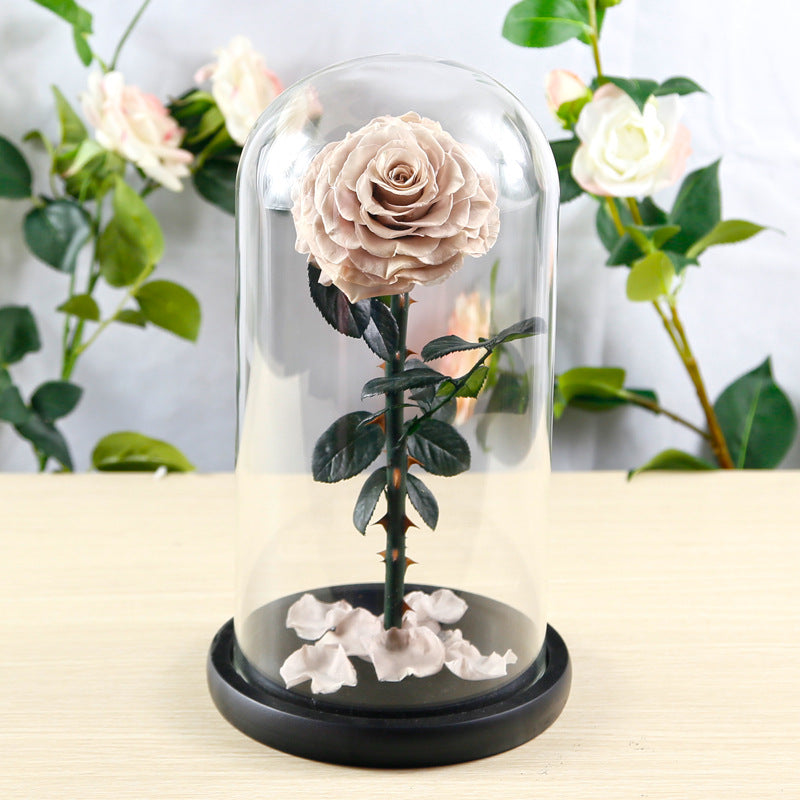 Eternal Preserved Rose Glass Dome Gift Box – Luxury Romantic Keepsake