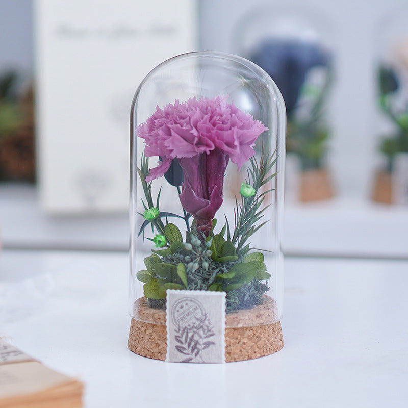 Eternal Carnation Wishing Bottle – A Timeless Mother’s Day Keepsake