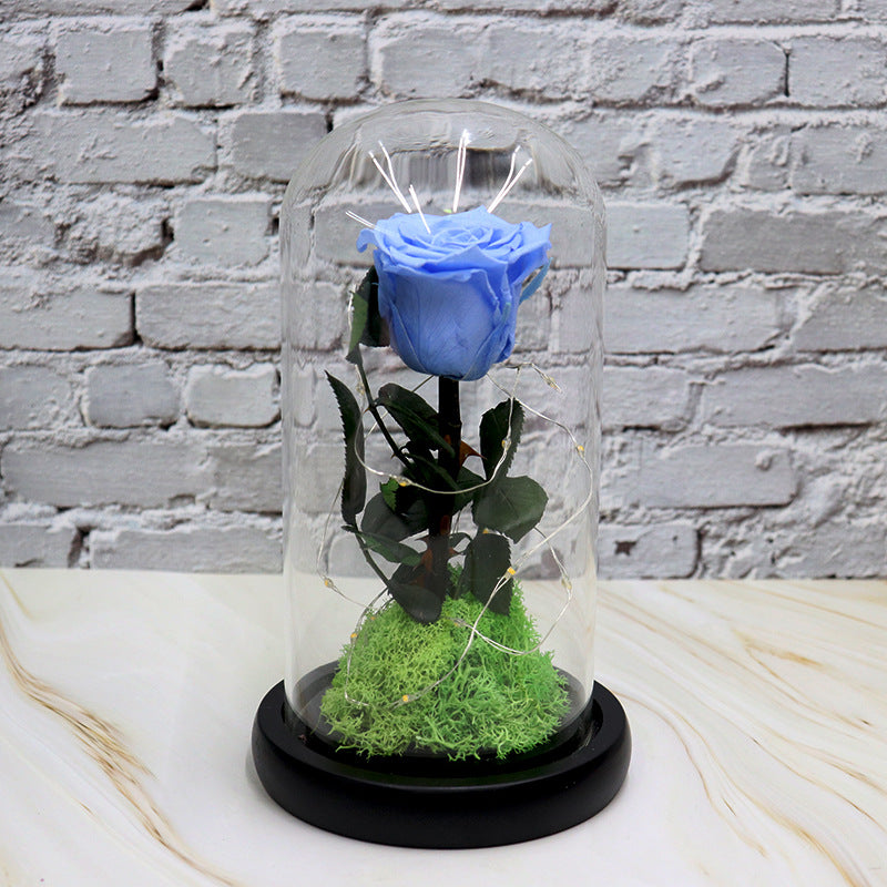Creative Fashion Flower Gift – Elegant Décor to Brighten Any Space