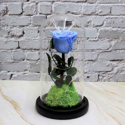 Creative Fashion Flower Gift – Elegant Décor to Brighten Any Space