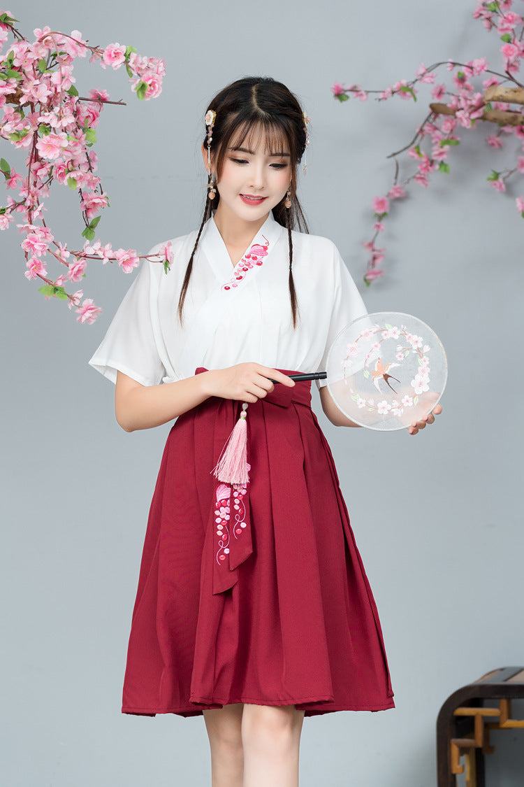 Elegant Summer Hanfu Skirt – Embroidered Cross Collar Design