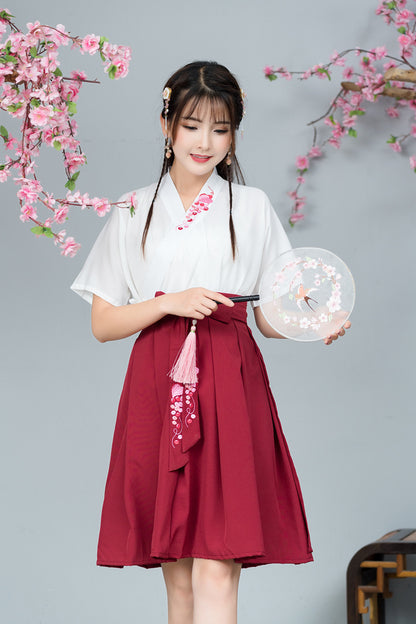 Elegant Summer Hanfu Skirt – Embroidered Cross Collar Design