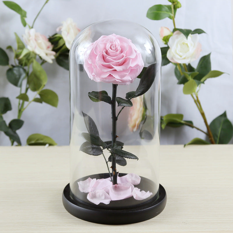 Eternal Preserved Rose Glass Dome Gift Box – Luxury Romantic Keepsake