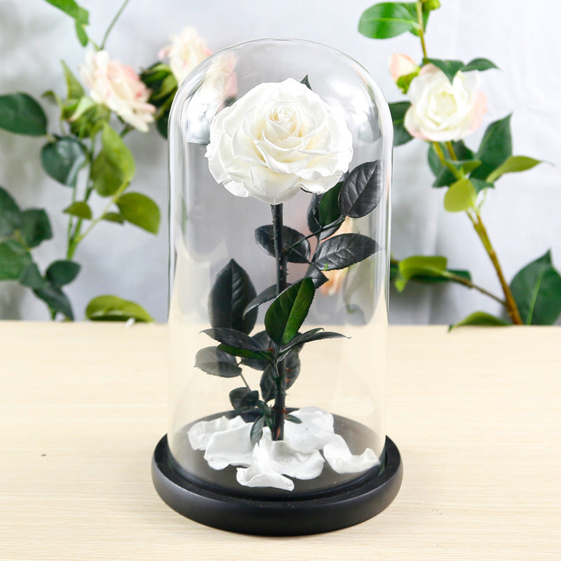 Eternal Preserved Rose Glass Dome Gift Box – Luxury Romantic Keepsake