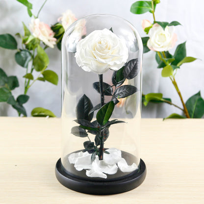 Eternal Preserved Rose Glass Dome Gift Box – Luxury Romantic Keepsake