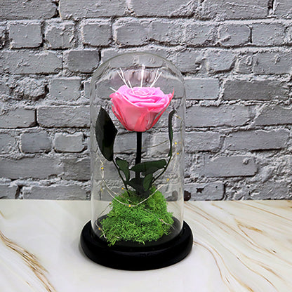 Creative Fashion Flower Gift – Elegant Décor to Brighten Any Space