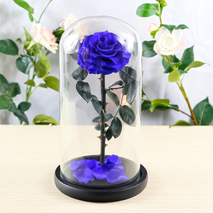Eternal Preserved Rose Glass Dome Gift Box – Luxury Romantic Keepsake