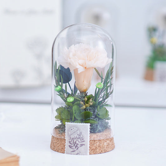 Eternal Carnation Wishing Bottle – A Timeless Mother’s Day Keepsake
