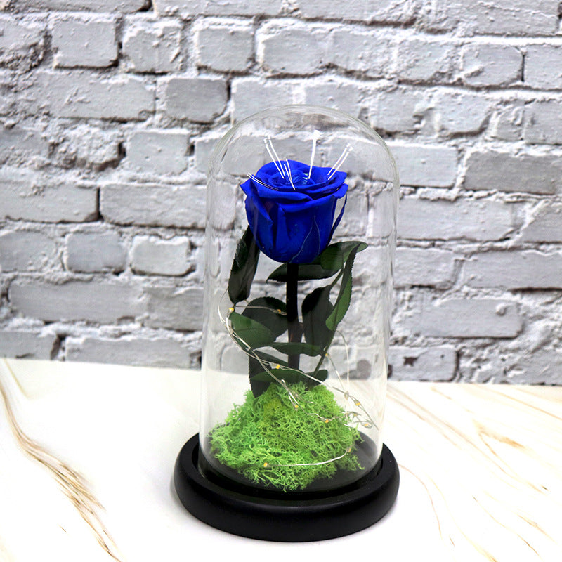 Creative Fashion Flower Gift – Elegant Décor to Brighten Any Space