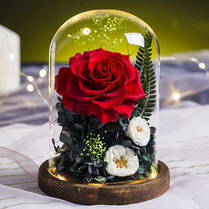 Luxury Eternal Rose Glass Dome – Preserved Flower of Everlasting Love