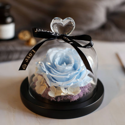 Eternal Rose Glass Dome Gift Box – Luxury Romantic Flower Keepsake