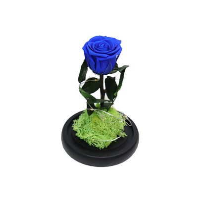 Creative Fashion Flower Gift – Elegant Décor to Brighten Any Space