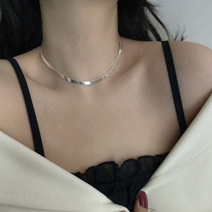 Sterling Silver Serpentine Necklace – French Blade Clavicle Chain