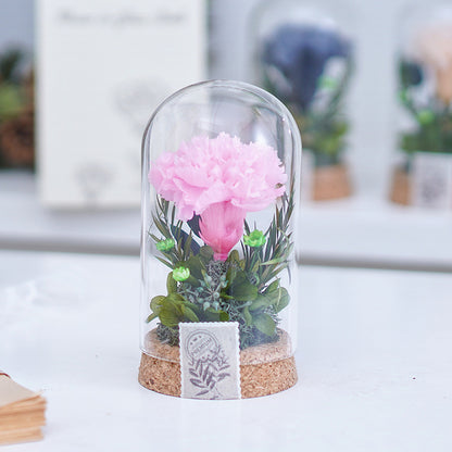 Eternal Carnation Wishing Bottle – A Timeless Mother’s Day Keepsake