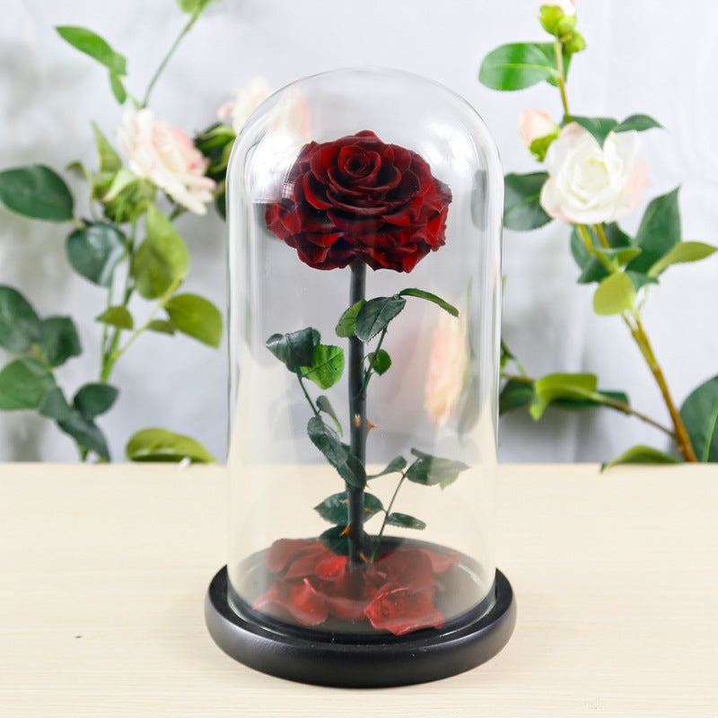 Eternal Preserved Rose Glass Dome Gift Box – Luxury Romantic Keepsake