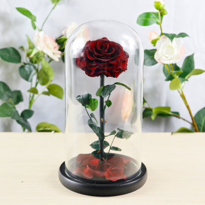 Eternal Preserved Rose Glass Dome Gift Box – Luxury Romantic Keepsake