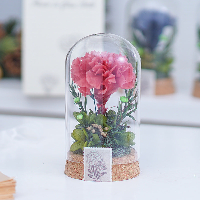 Eternal Carnation Wishing Bottle – A Timeless Mother’s Day Keepsake