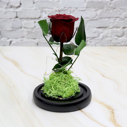 Creative Fashion Flower Gift – Elegant Décor to Brighten Any Space