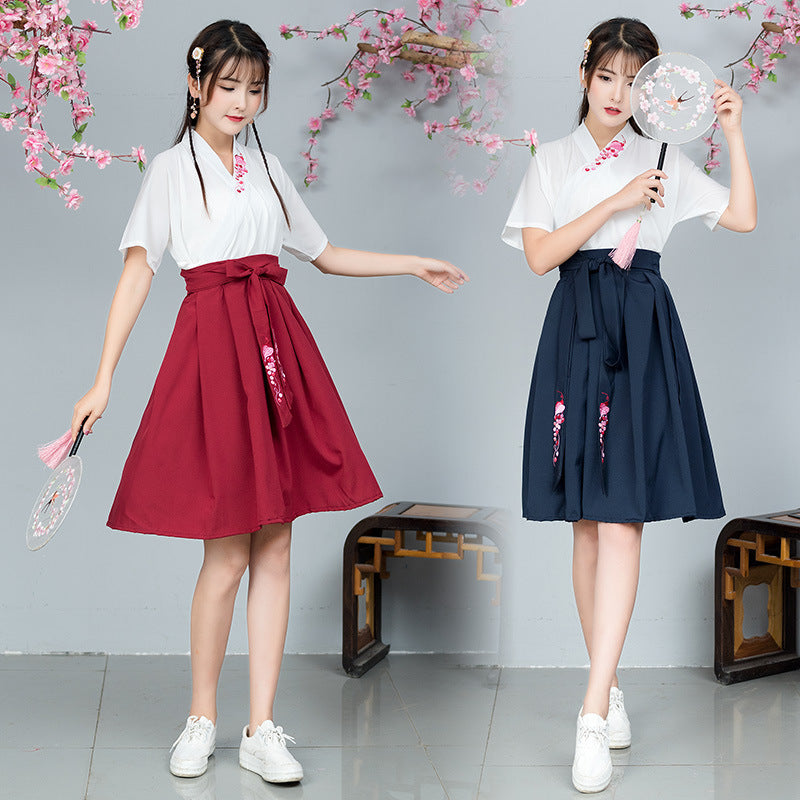 Elegant Summer Hanfu Skirt – Embroidered Cross Collar Design