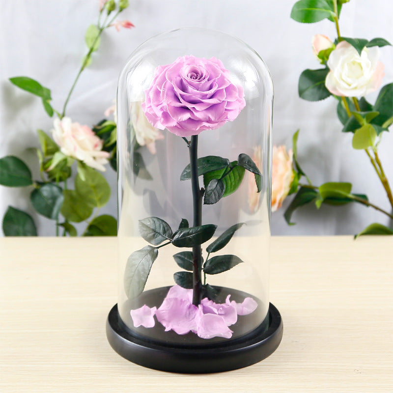 Eternal Preserved Rose Glass Dome Gift Box – Luxury Romantic Keepsake