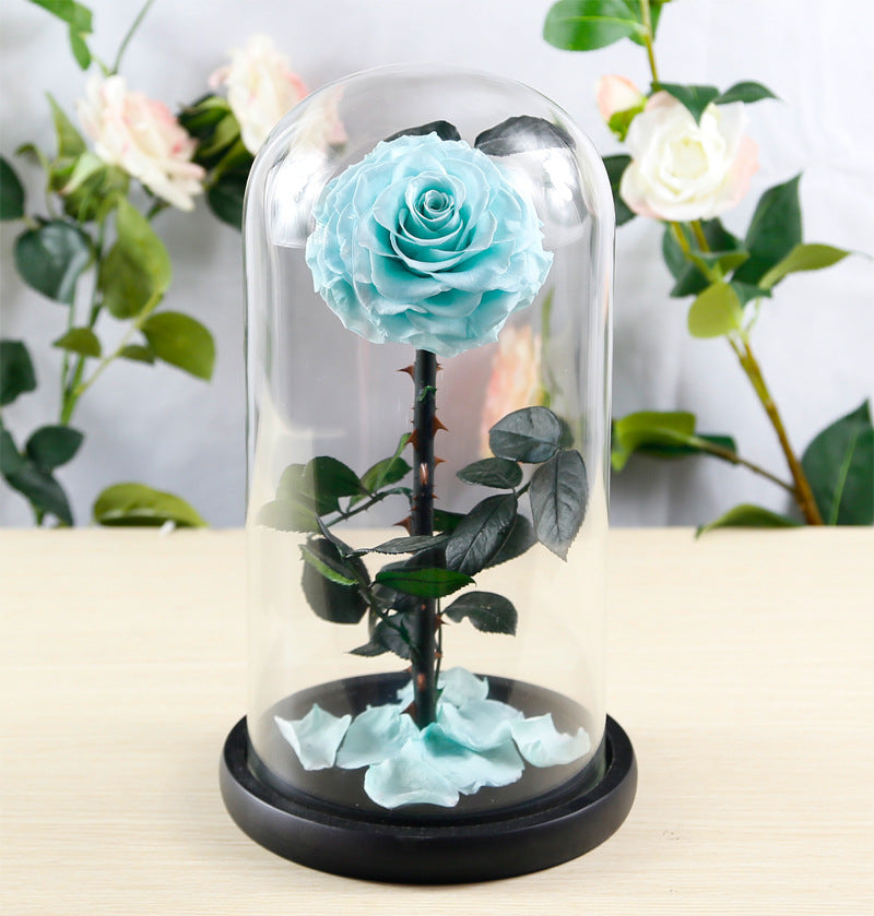 Eternal Preserved Rose Glass Dome Gift Box – Luxury Romantic Keepsake