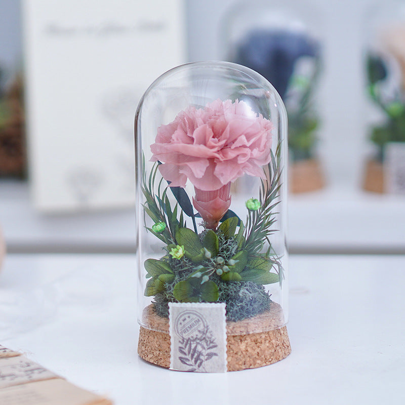 Eternal Carnation Wishing Bottle – A Timeless Mother’s Day Keepsake