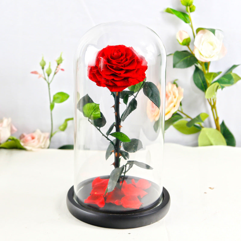 Eternal Preserved Rose Glass Dome Gift Box – Luxury Romantic Keepsake