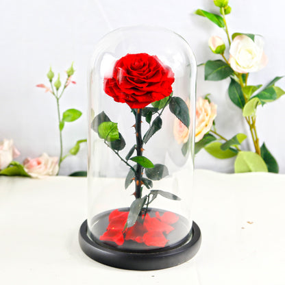 Eternal Preserved Rose Glass Dome Gift Box – Luxury Romantic Keepsake