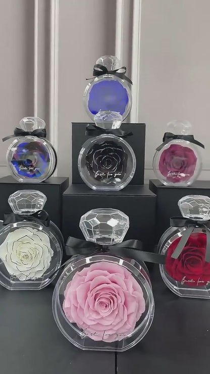 The Eternal Bloom™ – Preserved Rose in Glass Dome Gift Box