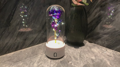 Eternal Rose LED Light & Bluetooth Speaker – Romantic Glass Dome Gift